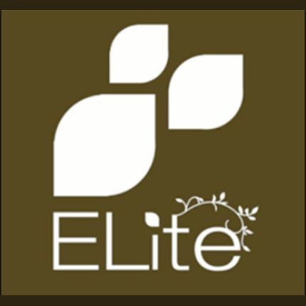 Logo de Elite Estetica e Benessere