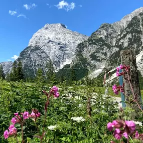 Alpengasthaus Falzturn in 6213 Pertisau