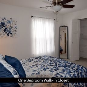 Bedroom with Large Closet and Wardrobe Organizers