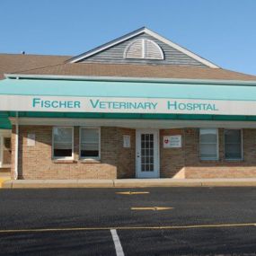 Welcome to VCA Fischer Animal Hospital!