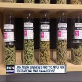 Bild von Exclusive Ann Arbor Marijuana & Cannabis Dispensary