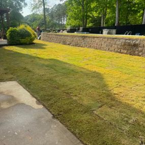 Landscape design
Lawn maintenance
new grass