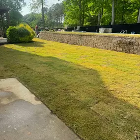 Landscape design
Lawn maintenance
new grass