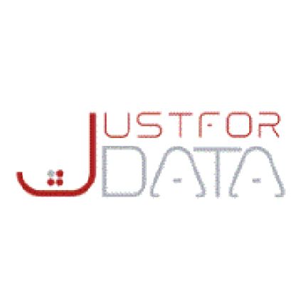 Logo van Just For Data