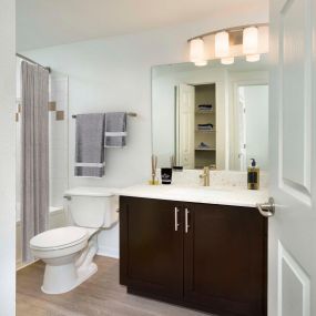 Bathroom with quartz countertop wood look flooring bathtub and undermount sink