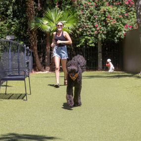 Dog park at Camden Preserve apartments in Tampa, Florida.