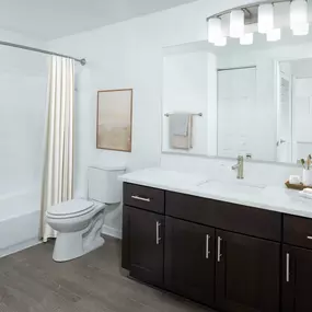 Bathroom with large vanity at Camden Preserve apartments in Tampa, FL