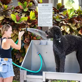 Dog grooming station at Camden Preserve apartments in Tampa, Florida.