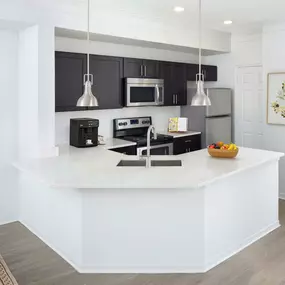 Kitchen with quartz countertop, undermount sink, and stainless steel appliances at Camden Preserve in Tampa, FL