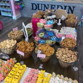 Does your pet need nutritional advice consultations? Woof Gang Bakery & Grooming Dunedin  provides access to organic, premium, and raw diets, and a wide range of holistic supplements for companion animals.