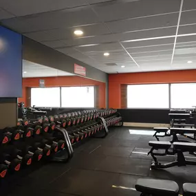 Basic-Fit Haarlem Bijdorplaan - free weight zone