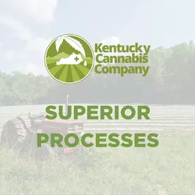 Bild von Kentucky Cannabis Company