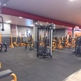 Basic-Fit Zaandam Martin Luther Kingweg - free weight zone