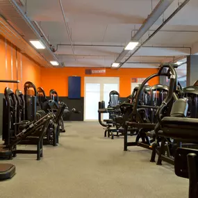 Basic-Fit Soest Nieuwegracht 24/7 - strength zone