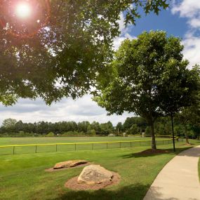 Field walking path