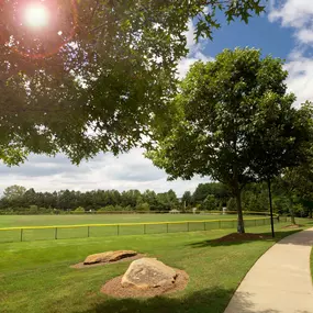 Field walking path