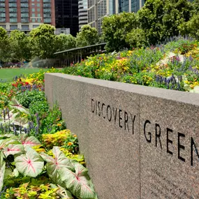 Near discovery green