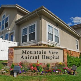Welcome to VCA Mountain View Animal Hospital!