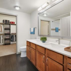 Bathroom with double sink vanity and walk in closet with wood shelving