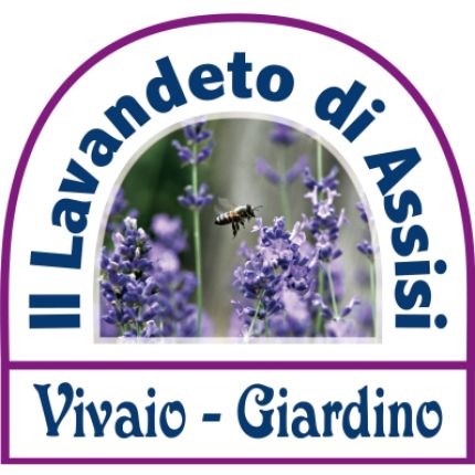 Logotyp från Vivaio Il Lavandeto di Assisi. Vivaio Perugia. Piante da Giardino
