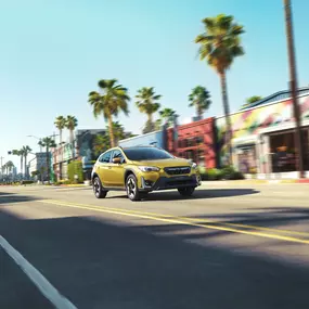 Bild von Concesionario Oficial Subaru Coroca