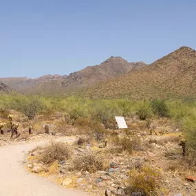 Neighborhood hiking trail