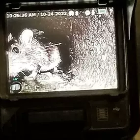 Bild von D&F Plumbing, Heating and Cooling