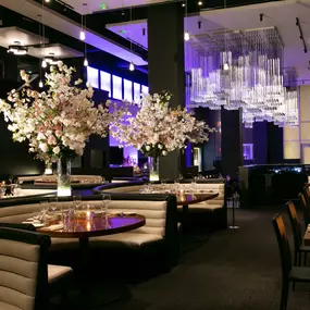 Bild von STK Steakhouse