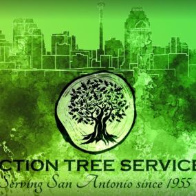 Bild von Action Tree Service