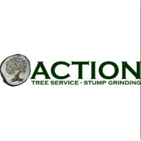 Bild von Action Tree Service