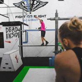 Bild von Fight or Flight Academy