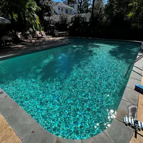 Pool backyard