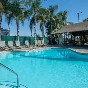 Swimming Pool at Reef Apartments