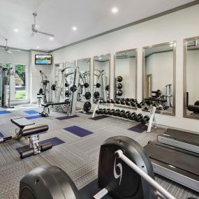 Fitness center with machines and free weights