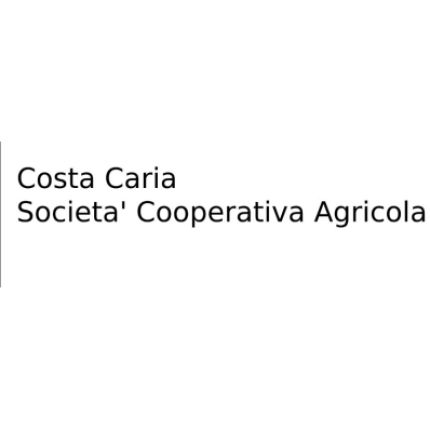 Λογότυπο από Costa Caria Societa' Cooperativa Agricola
