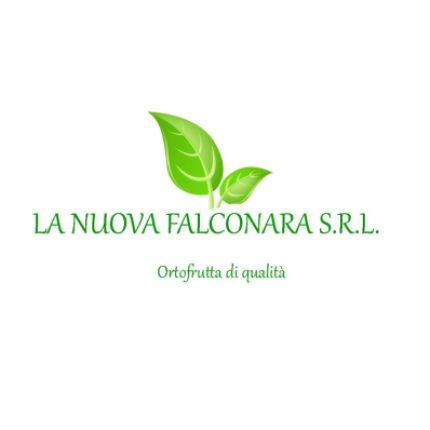 Λογότυπο από La Nuova Falconara Srl