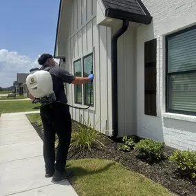Pest Treatment