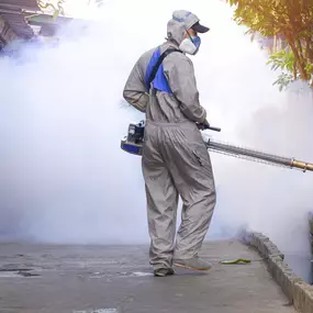 Mosquito Treatment