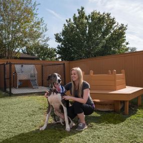 Dog park with pet wash station at Camden Northpointe Apartments in Tomball, TX