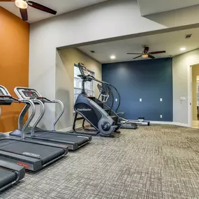 Cardio Equipment