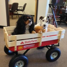 Brooke & Ollie in their State Farm wagon