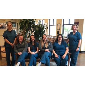 The caring and experienced team at VCA Carriage Hills Animal Hospital and Pet Resort!