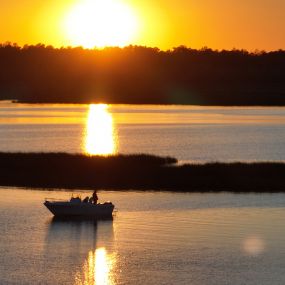 Bild von White Oak Shores Campground