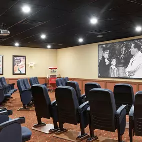 One of our great amenities at Elk River Senior Living is our movie theater. To see a complete list of all of our amenities, please visit our website or give us a call today!