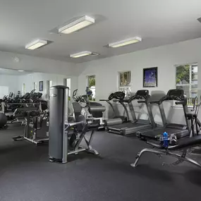 Fitness center with cardio circuit and strength training equipment