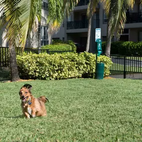 Unleashed dog park with room to run