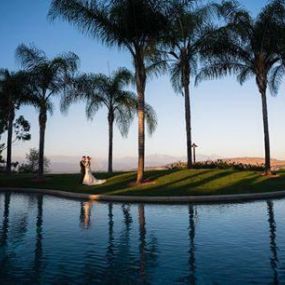 Couple taking wedding images with palm trees, a pond, and a view.