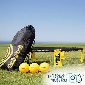 Looking for a new outdoor activity for this weekend?  Spikeball is one of my family’s favorites.