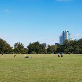 Zilker park with skyline views near community