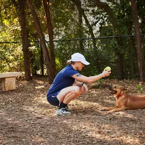 Private onsite dog park surrounded by trees